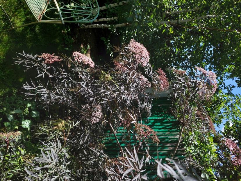  - 2024 continuare april mai