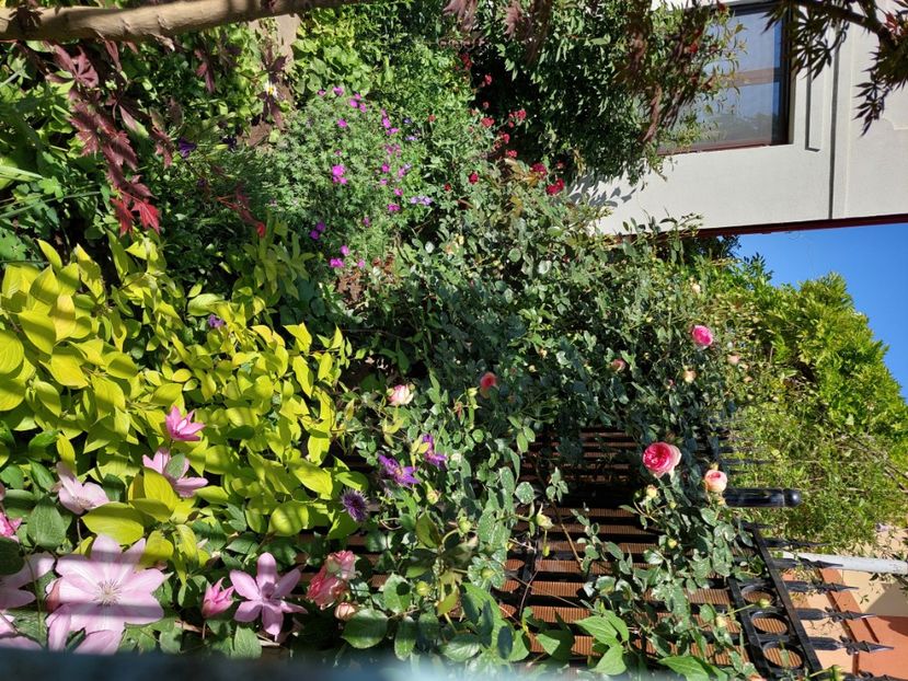  - 2024 continuare april mai