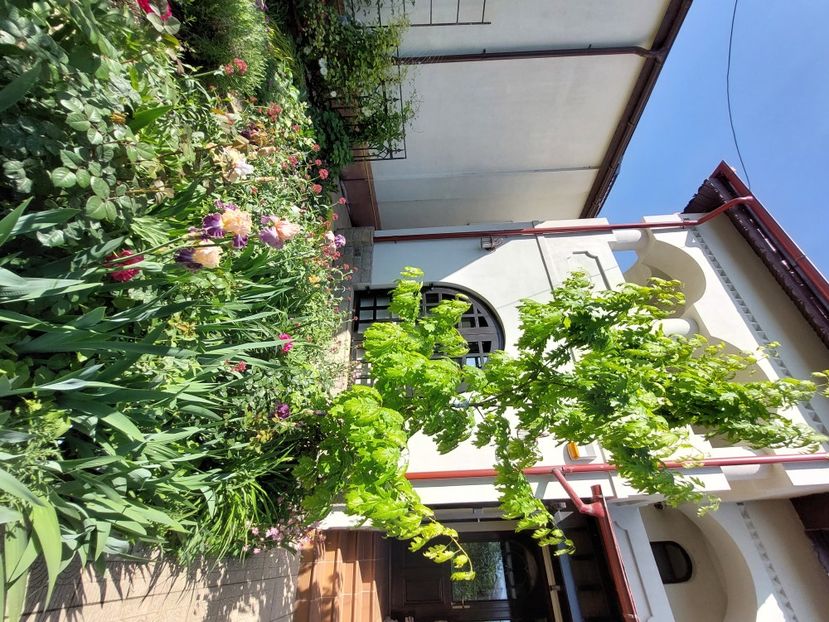  - 2024 continuare april mai