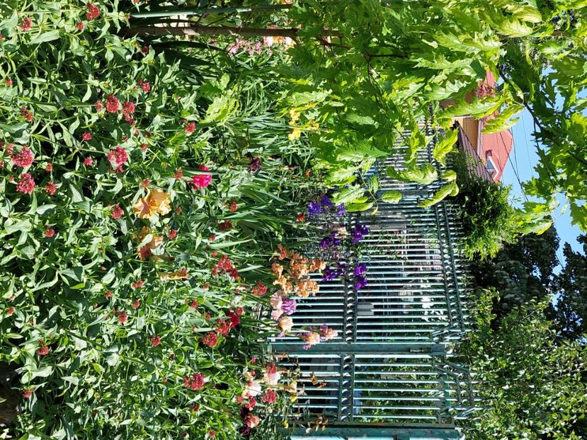  - 2024 continuare april mai