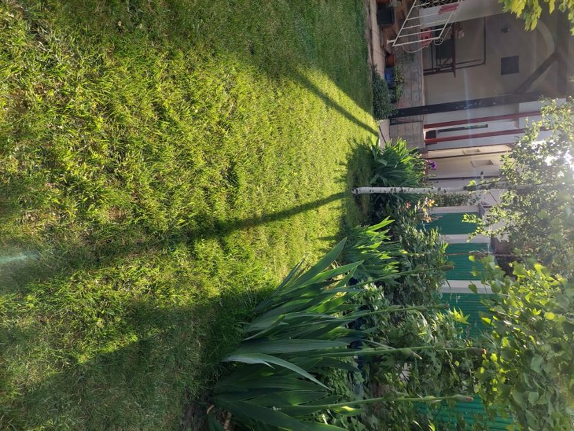  - 2024 continuare april mai