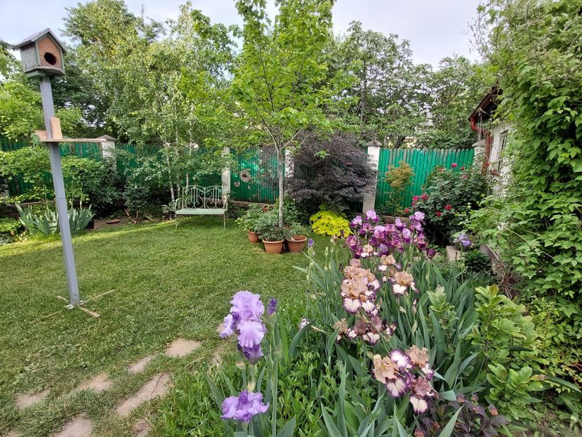  - 2024 continuare april mai