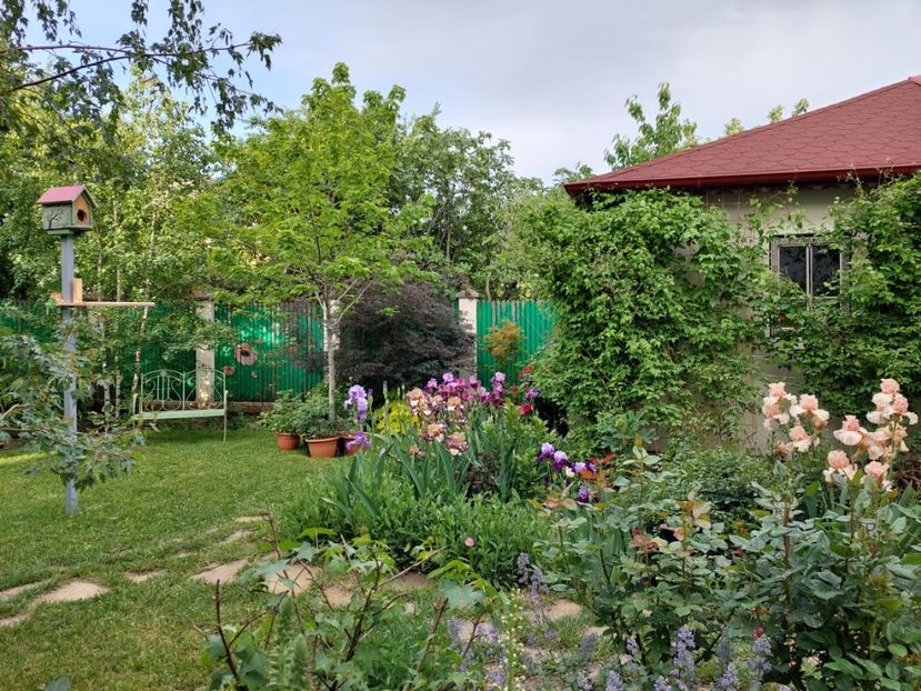  - 2024 continuare april mai