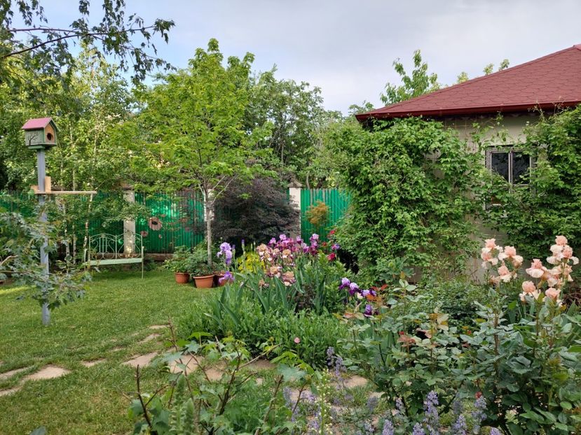  - 2024 continuare april mai