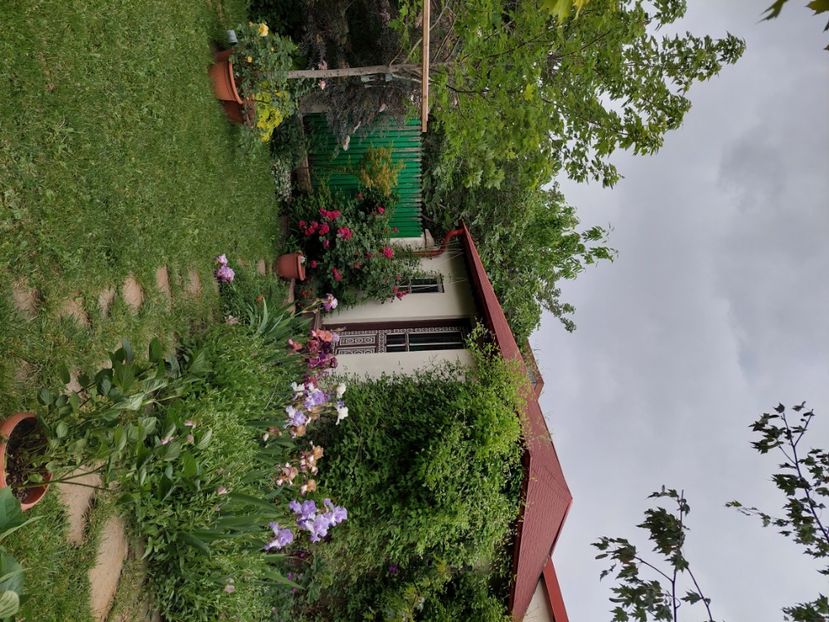  - 2024 continuare april mai