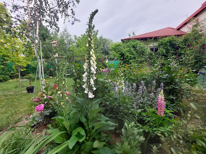  - 2024 continuare april mai