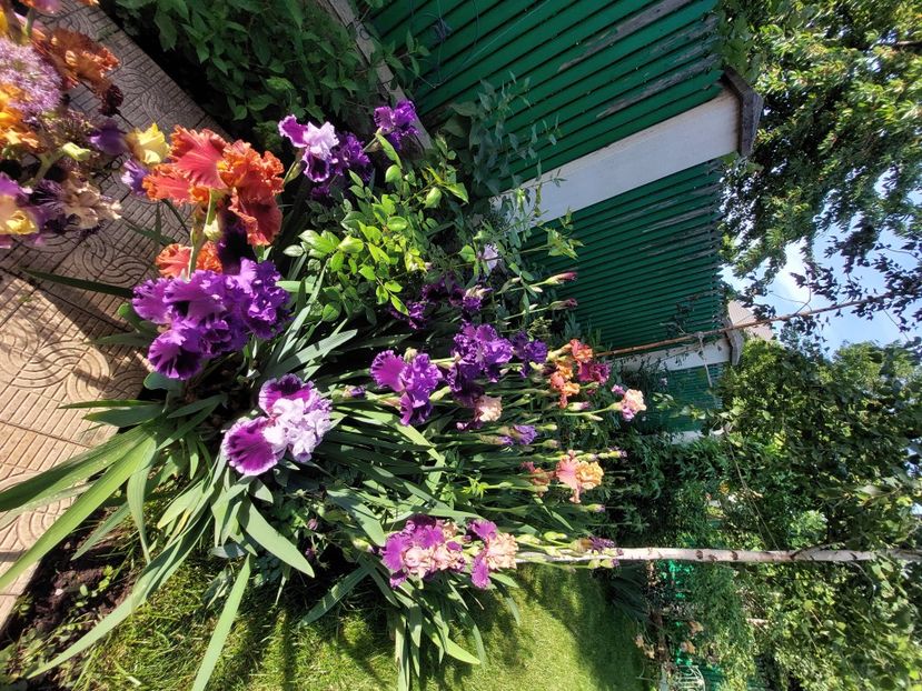  - 2024 continuare april mai