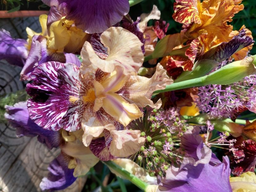  - 2024 continuare april mai