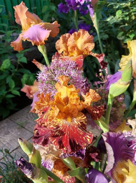  - 2024 continuare april mai