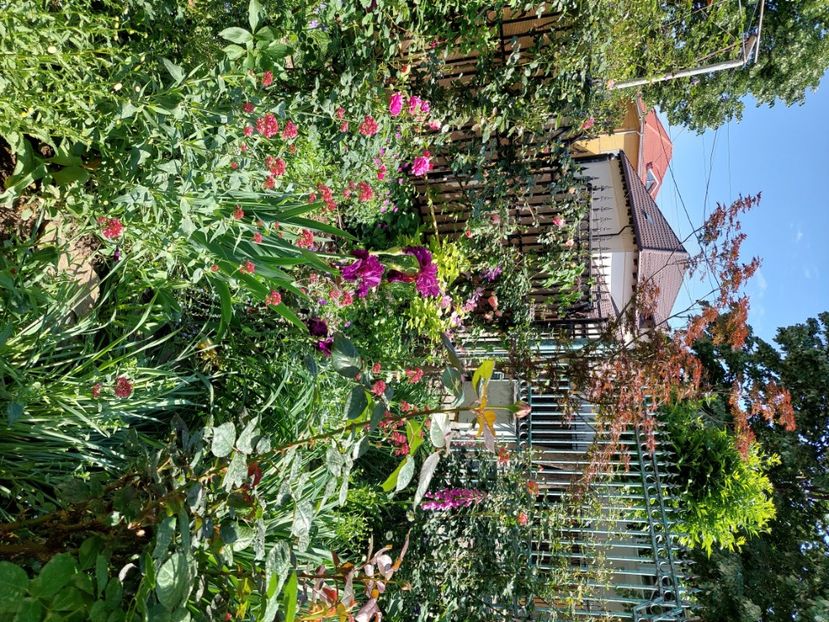  - 2024 continuare april mai