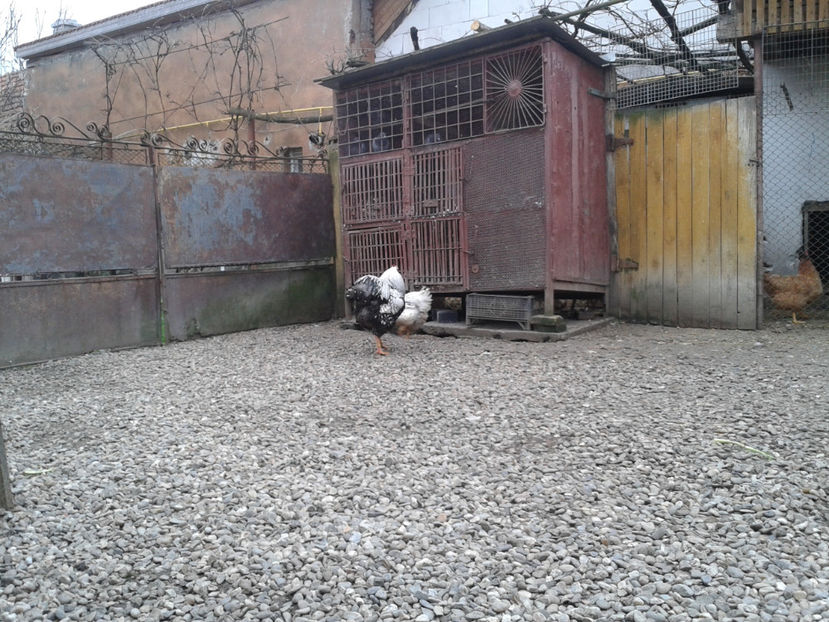  - 1 - MATCĂ I 2024 -