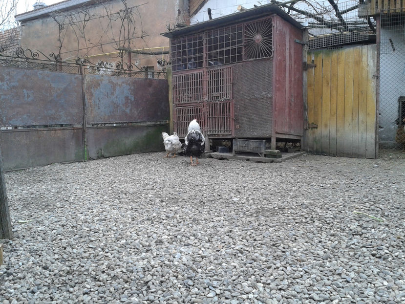  - 1 - MATCĂ I 2024 -