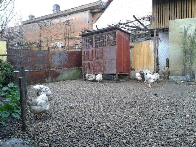  - 1 - MATCĂ I 2024 -