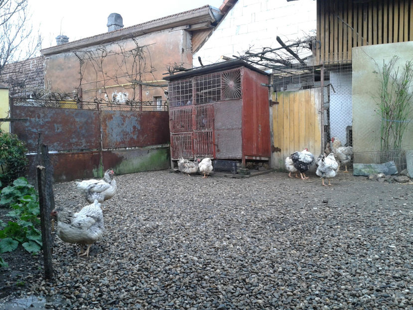  - 1 - MATCĂ I 2024 -