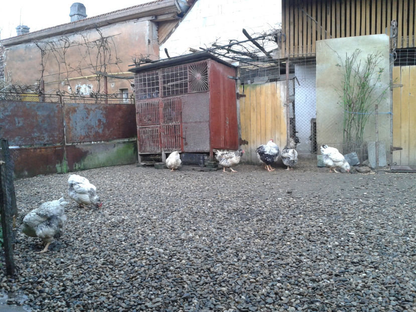  - 1 - MATCĂ I 2024 -