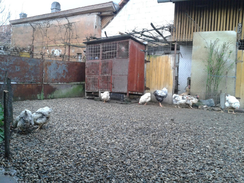  - 1 - MATCĂ I 2024 -