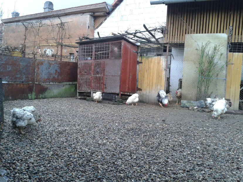  - 1 - MATCĂ I 2024 -