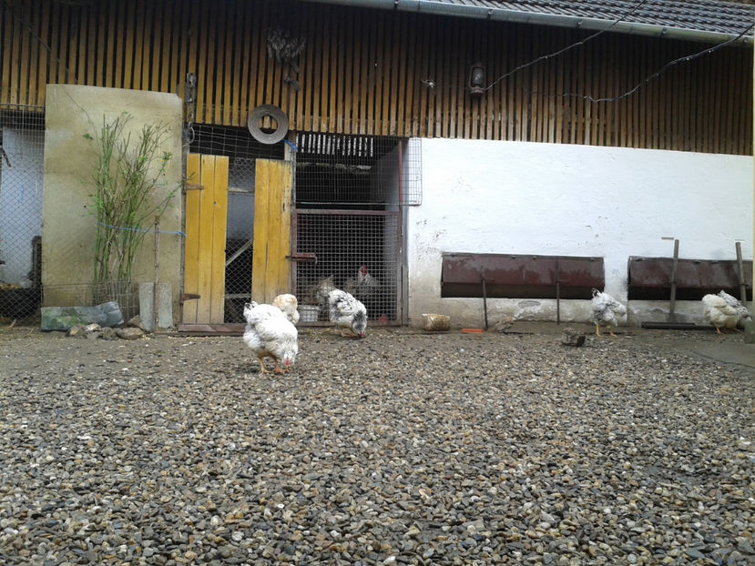  - 1 - MATCĂ I 2024 -