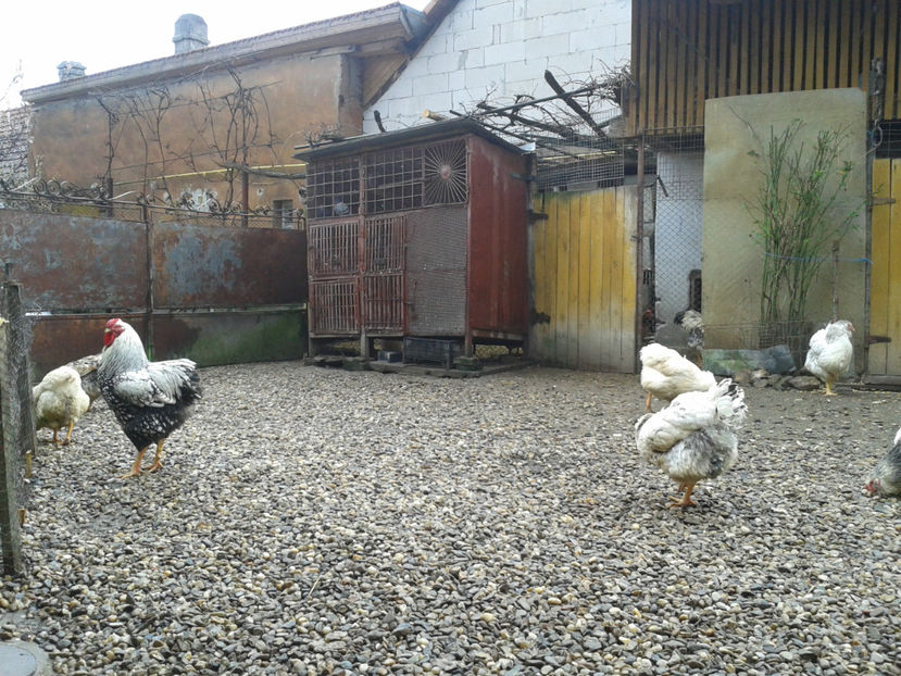  - 1 - MATCĂ I 2024 -