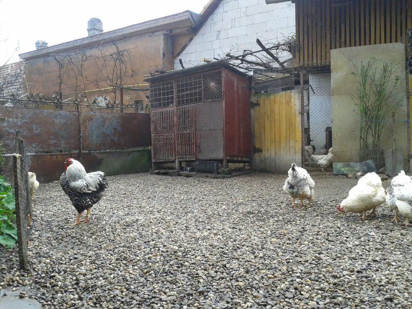  - 1 - MATCĂ I 2024 -