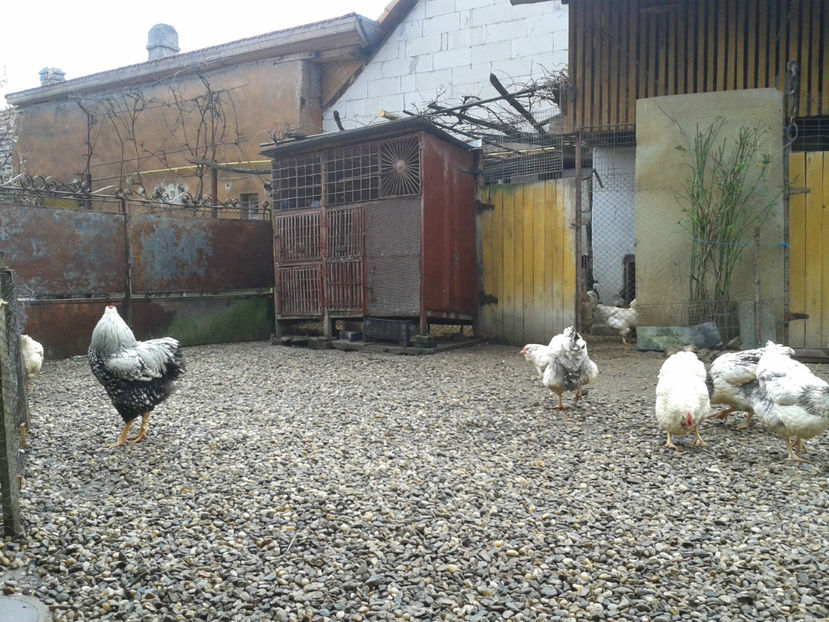  - 1 - MATCĂ I 2024 -