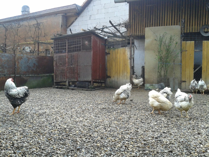  - 1 - MATCĂ I 2024 -