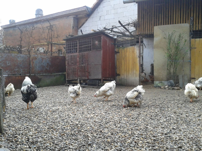  - 1 - MATCĂ I 2024 -