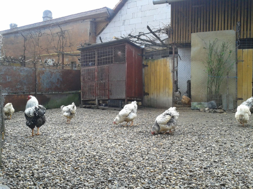  - 1 - MATCĂ I 2024 -