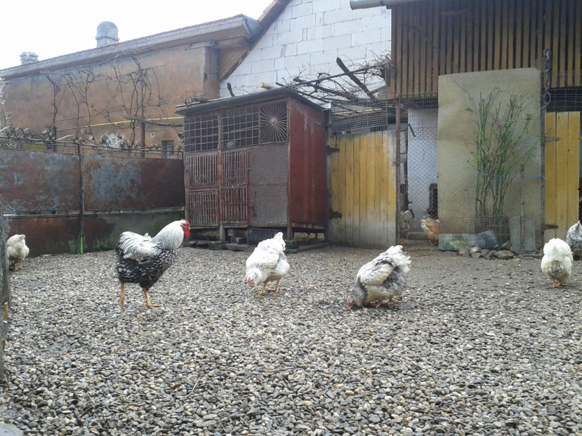  - 1 - MATCĂ I 2024 -