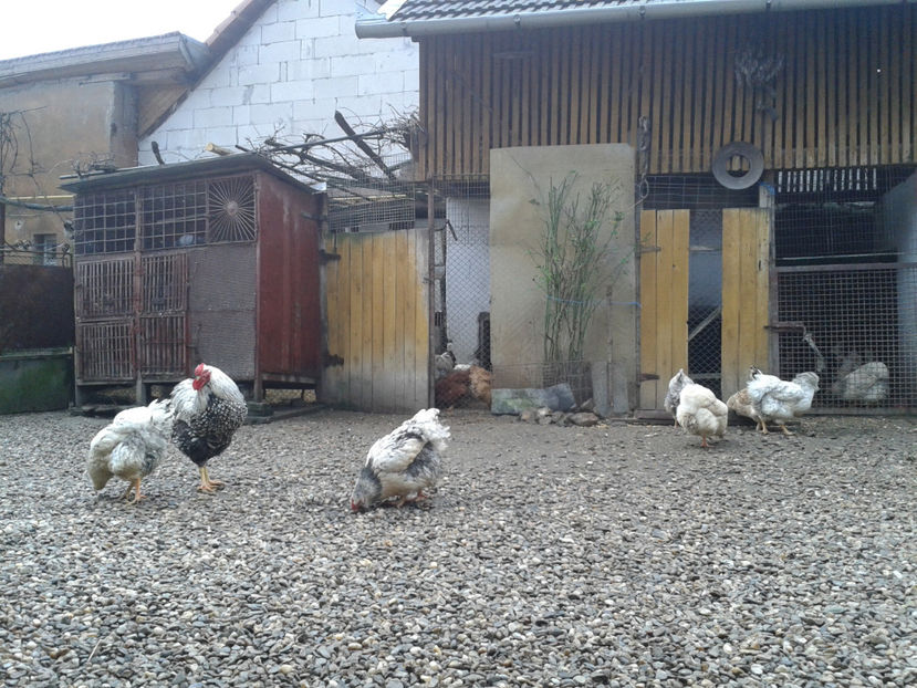  - 1 - MATCĂ I 2024 -