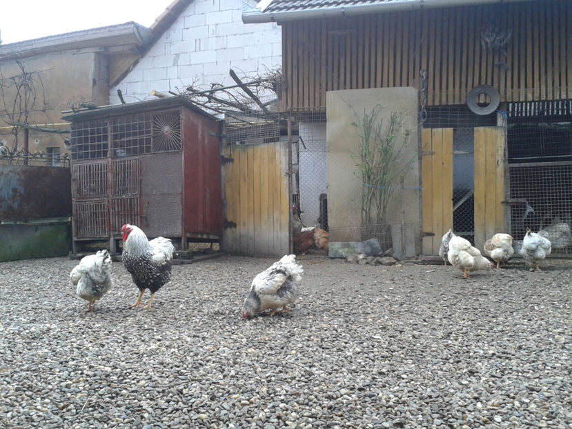  - 1 - MATCĂ I 2024 -