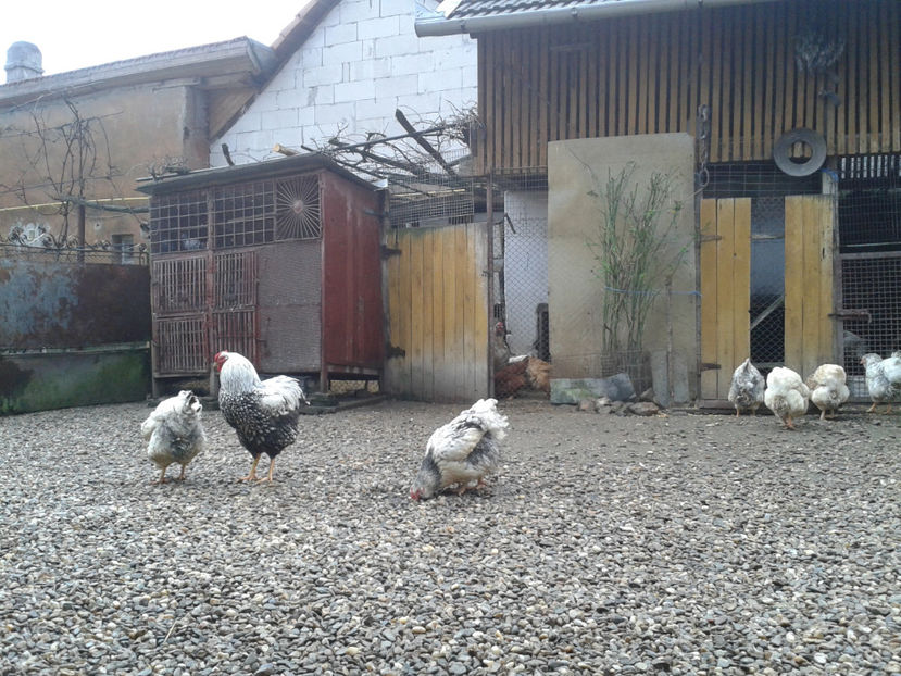  - 1 - MATCĂ I 2024 -