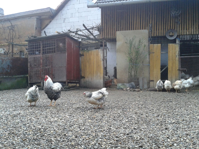  - 1 - MATCĂ I 2024 -