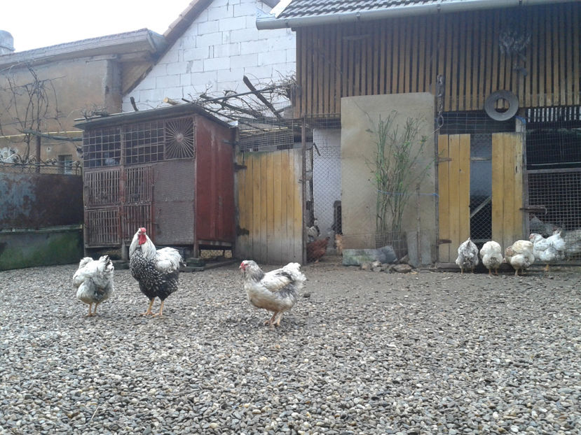  - 1 - MATCĂ I 2024 -