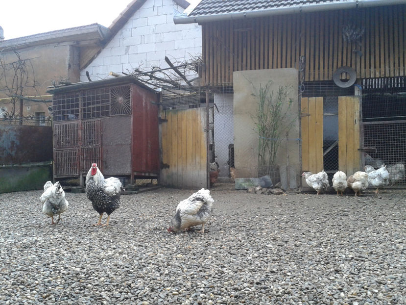  - 1 - MATCĂ I 2024 -