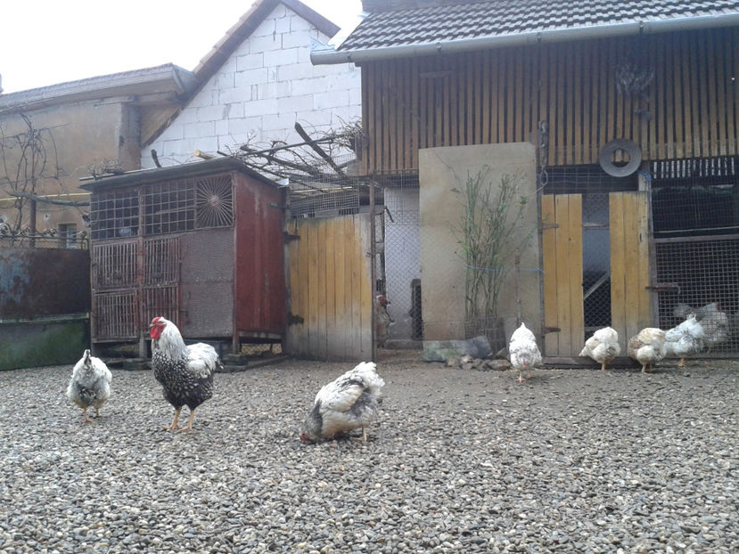  - 1 - MATCĂ I 2024 -