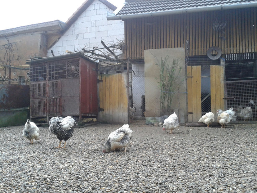 martie ‎2024 - 1 - MATCĂ I 2024 -