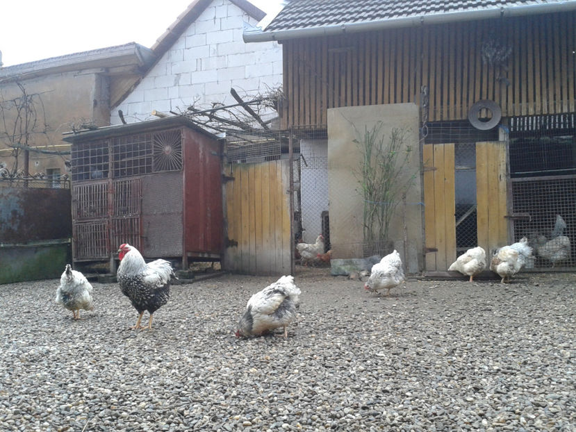  - 1 - MATCĂ I 2024 -