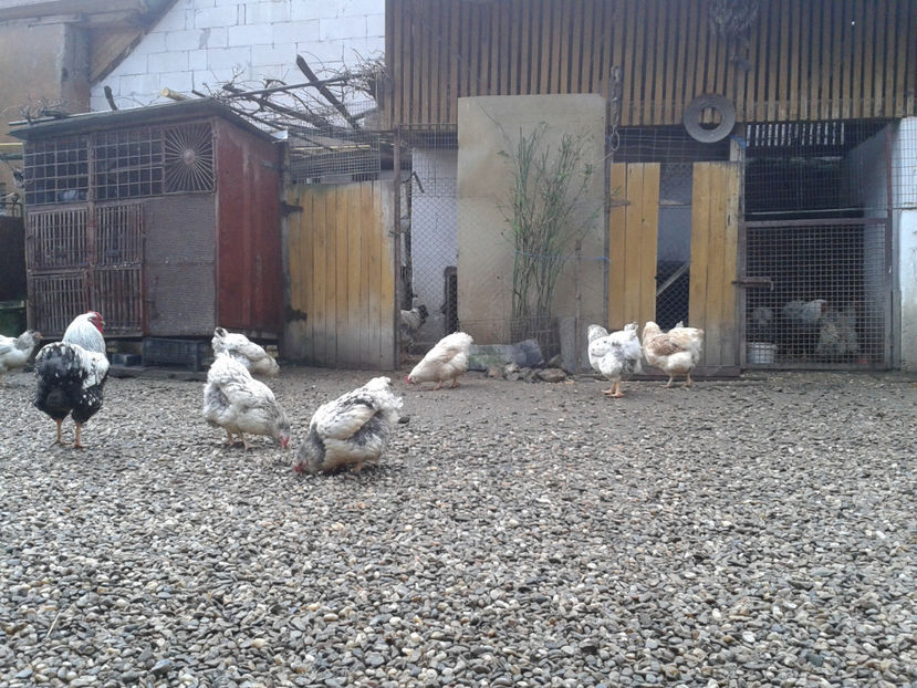  - 1 - MATCĂ I 2024 -