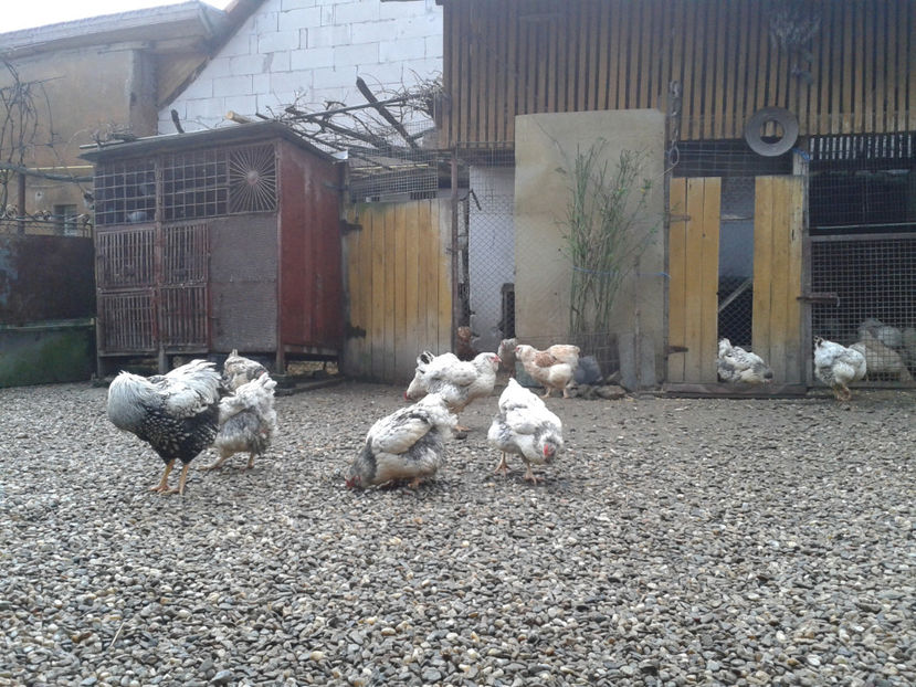  - 1 - MATCĂ I 2024 -