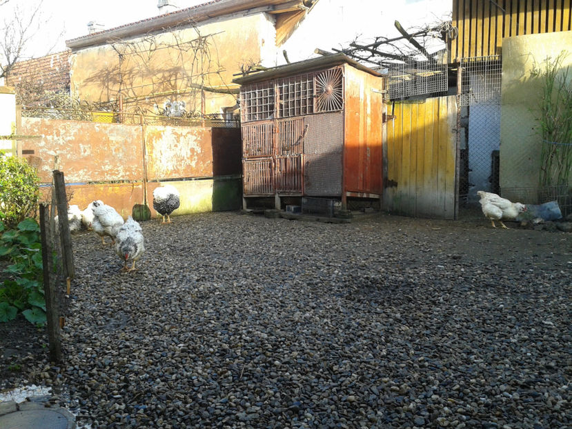  - 1 - MATCĂ I 2024 -