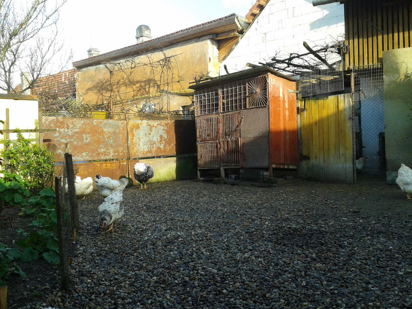  - 1 - MATCĂ I 2024 -