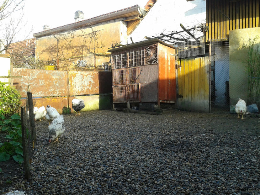  - 1 - MATCĂ I 2024 -