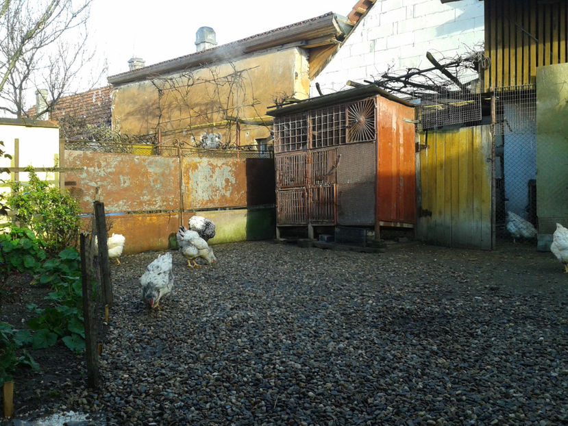  - 1 - MATCĂ I 2024 -