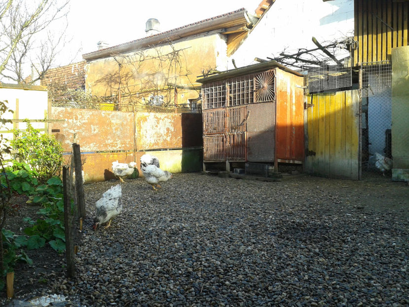  - 1 - MATCĂ I 2024 -