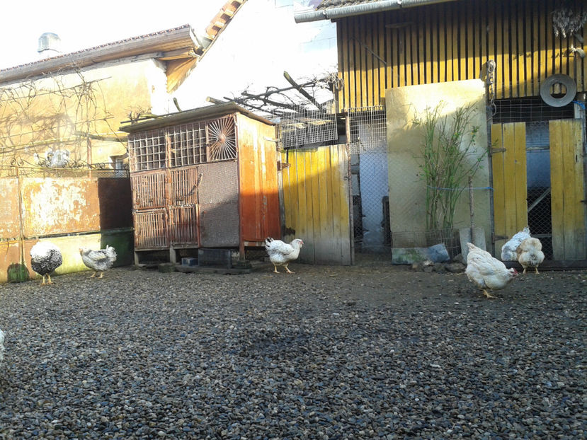  - 1 - MATCĂ I 2024 -