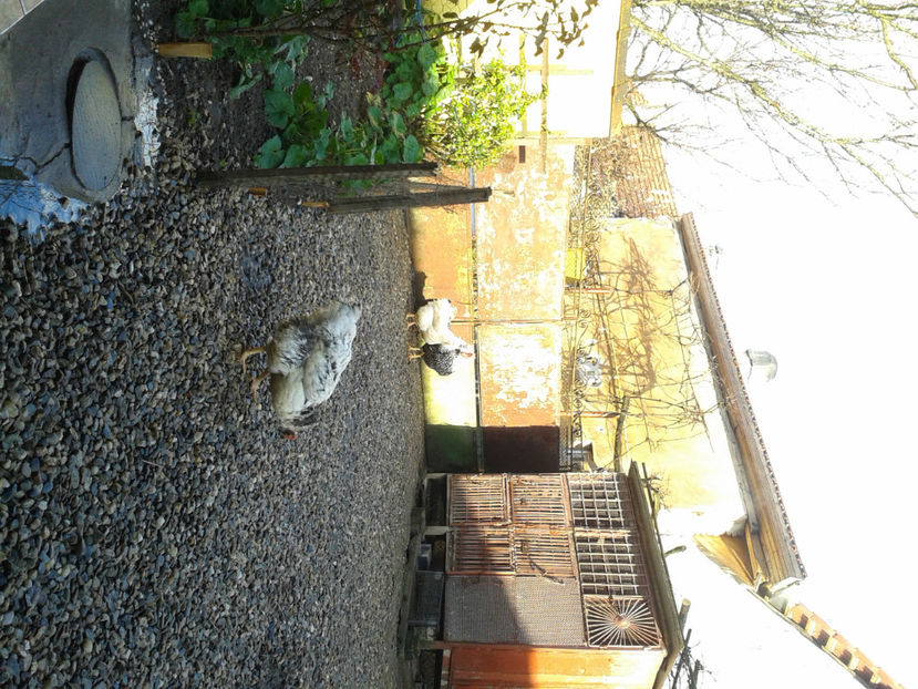  - 1 - MATCĂ I 2024 -