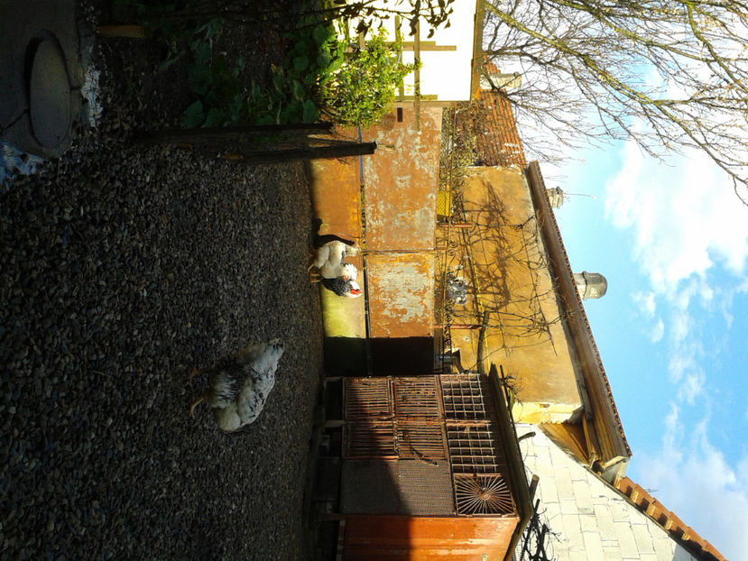  - 1 - MATCĂ I 2024 -