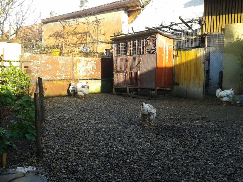  - 1 - MATCĂ I 2024 -