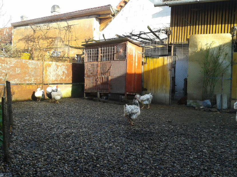  - 1 - MATCĂ I 2024 -